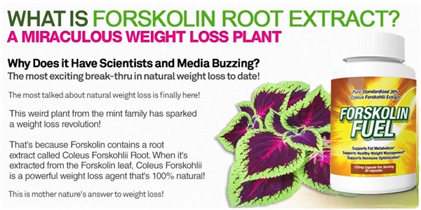 forskolin buy australia